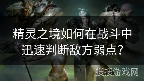 精灵之境如何在战斗中迅速判断敌方弱点? 精灵之境如何在战斗中迅速判断敌方弱点?