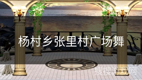 杨村乡张里村广场舞