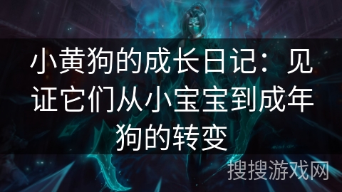 小黄狗的成长日记:见证它们从小宝宝到成年狗的转变 小黄狗的成长日记:见证它们从小宝宝到成年狗的转变