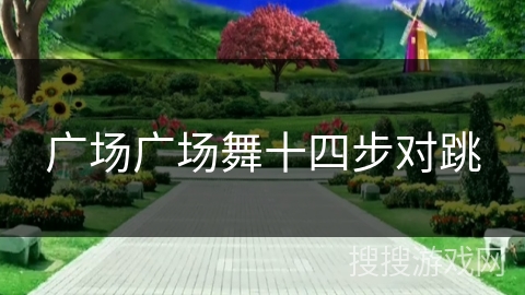 广场广场舞十四步对跳