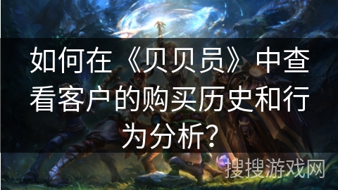 如何在《贝贝员》中查看客户的购买历史和行为分析？