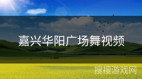 嘉兴华阳广场舞视频