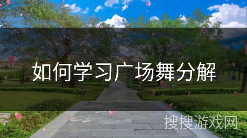 如何学习广场舞分解