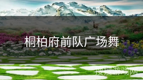 桐柏府前队广场舞