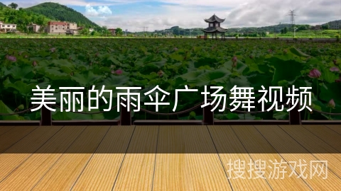 美丽的雨伞广场舞视频
