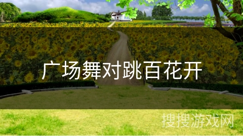 广场舞对跳百花开