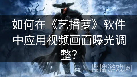 如何在《艺播萝》软件中应用视频画面曝光调整？