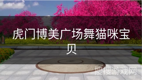 虎门博美广场舞猫咪宝贝