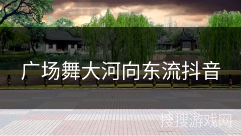 广场舞大河向东流抖音