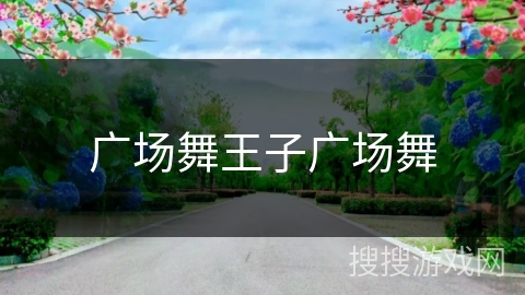 广场舞王子广场舞 广场舞王子广场舞