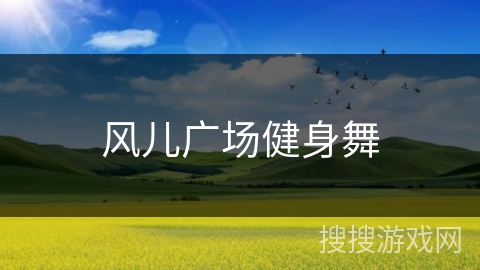 风儿广场健身舞 风儿广场健身舞