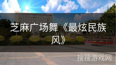 芝麻广场舞《最炫民族风》 芝麻广场舞《最炫民族风》