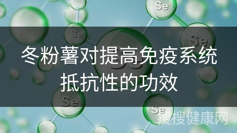 冬粉薯对提高免疫系统抵抗性的功效