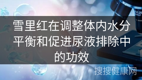 雪里红在调整体内水分平衡和促进尿液排除中的功效