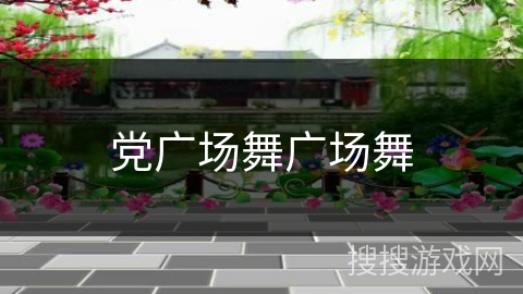党广场舞广场舞