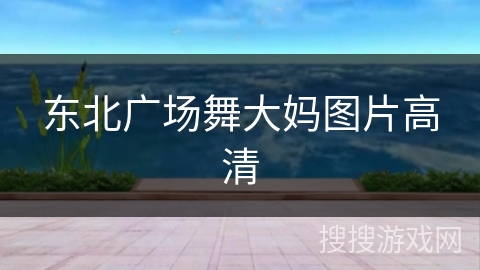 东北广场舞大妈图片高清