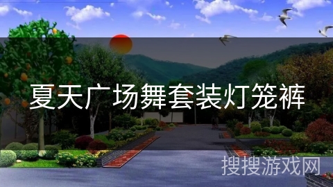 夏天广场舞套装灯笼裤 夏天广场舞套装灯笼裤