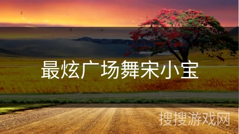 最炫广场舞宋小宝