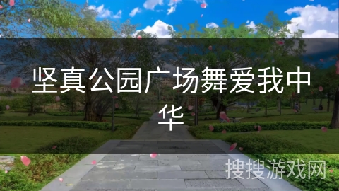 坚真公园广场舞爱我中华 坚真公园广场舞爱我中华