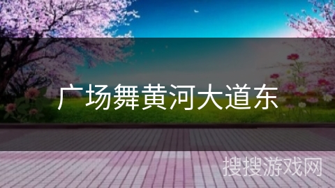 广场舞黄河大道东 广场舞黄河大道东