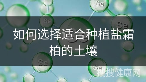 如何选择适合种植盐霜柏的土壤