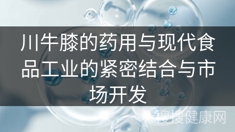 川牛膝的药用与现代食品工业的紧密结合与市场开发