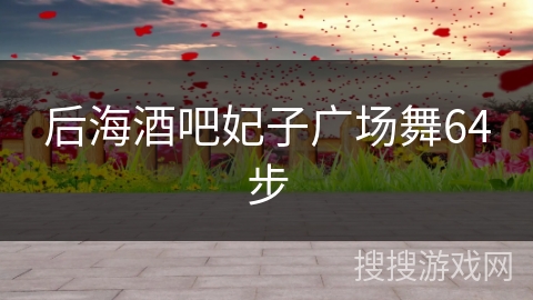 后海酒吧妃子广场舞64步