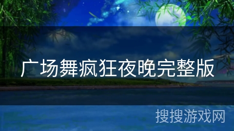 广场舞疯狂夜晚完整版