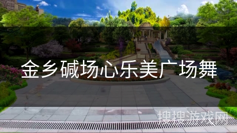 金乡碱场心乐美广场舞