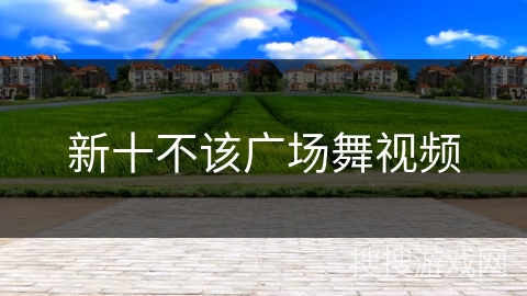 新十不该广场舞视频