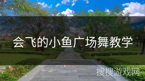 会飞的小鱼广场舞教学