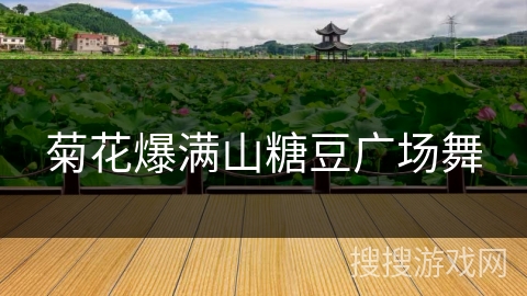 菊花爆满山糖豆广场舞