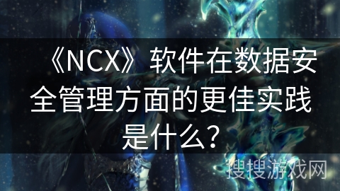 《NCX》软件在数据安全管理方面的更佳实践是什么? 《NCX》软件在数据安全管理方面的更佳实践是什么?
