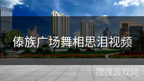 傣族广场舞相思泪视频