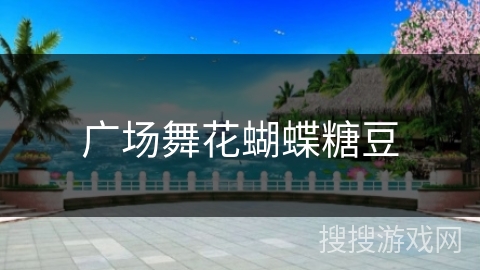 广场舞花蝴蝶糖豆