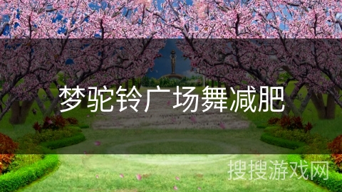 梦驼铃广场舞减肥