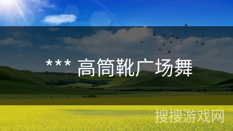  *** 高筒靴广场舞