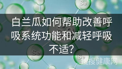 白兰瓜如何帮助改善呼吸系统功能和减轻呼吸不适？