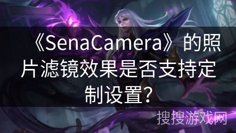 《SenaCamera》的照片滤镜效果是否支持定制设置? 《SenaCamera》的照片滤镜效果是否支持定制设置?