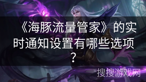 《海豚流量管家》的实时通知设置有哪些选项？