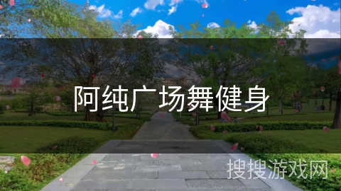 阿纯广场舞健身