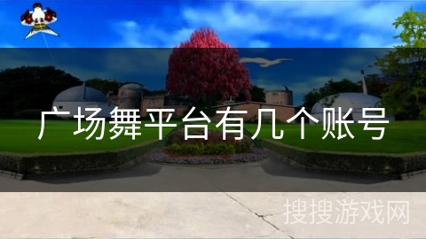 广场舞平台有几个账号