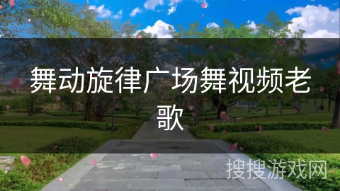 舞动旋律广场舞视频老歌