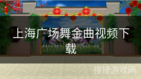 上海广场舞金曲视频下载
