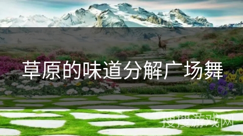 草原的味道分解广场舞