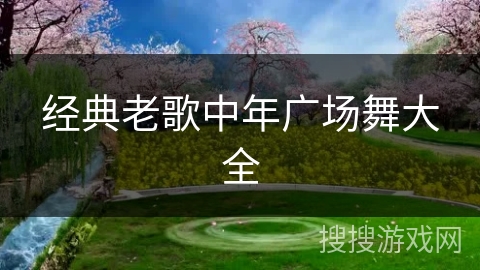 经典老歌中年广场舞大全 经典老歌中年广场舞大全