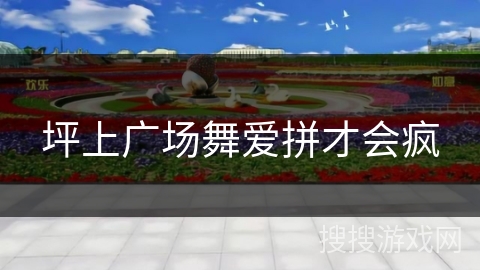 坪上广场舞爱拼才会疯