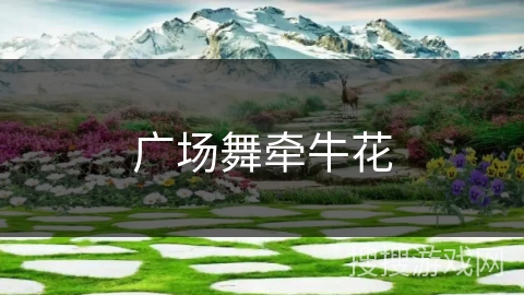 广场舞牵牛花
