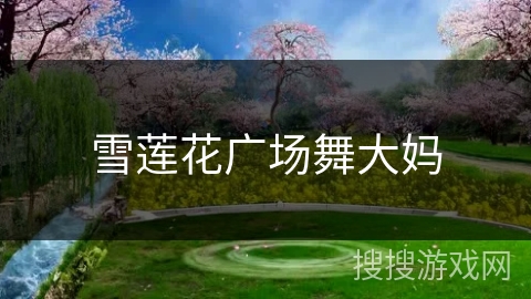雪莲花广场舞大妈