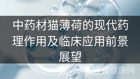 中药材猫薄荷的现代药理作用及临床应用前景展望